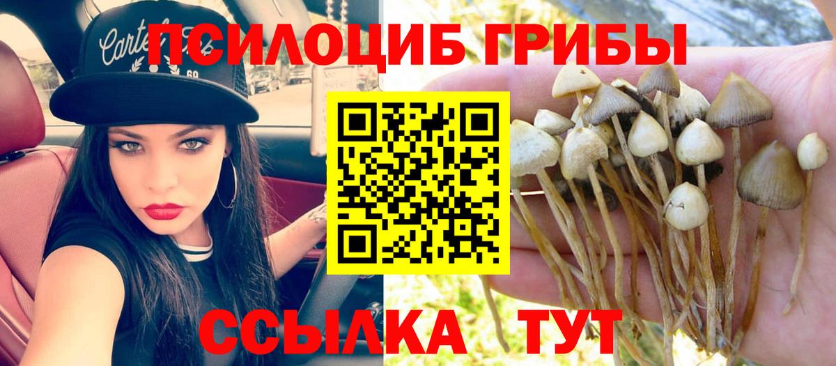 Каменск-Шахтинский  Галлюциногенные грибы Cubensis  Вход с VPN 
