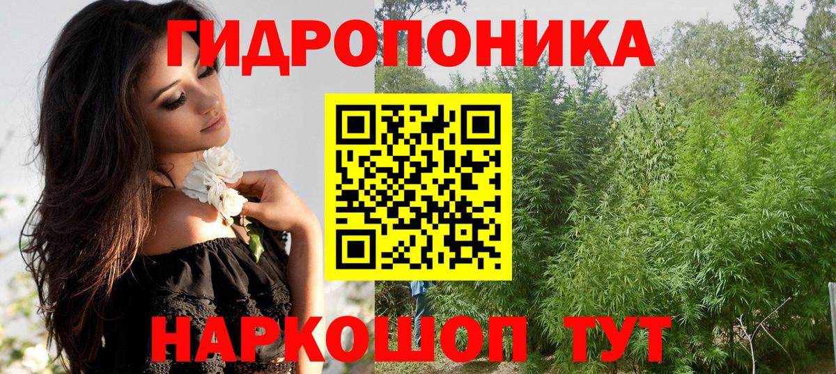 Конопля Ganja Каменск-Шахтинский
